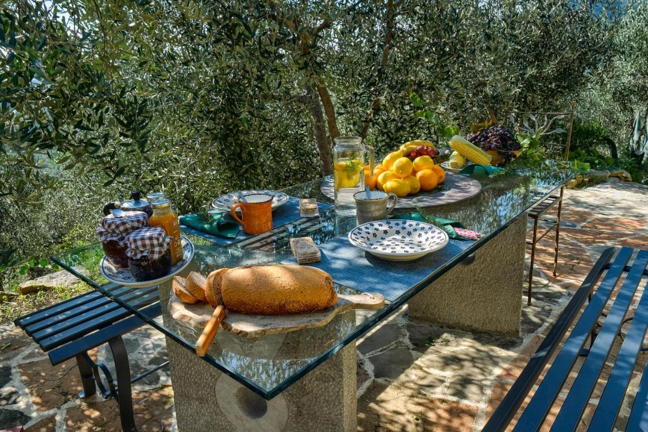 Villa Maria - In The Hills Above Florence Castiglione  Bagian luar foto